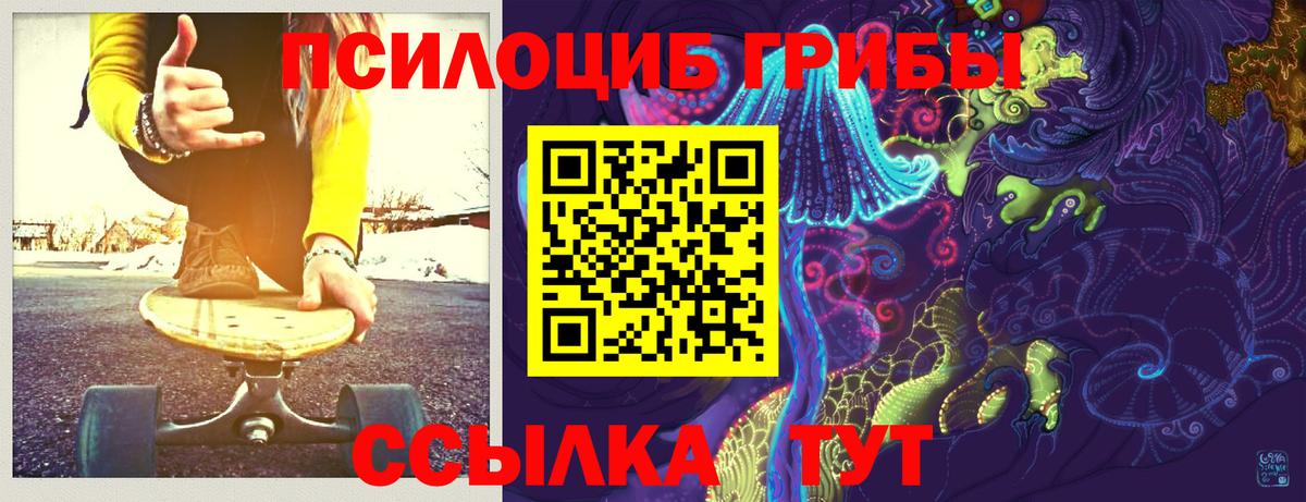Псилоцибиновые грибы мицелий Белорецк